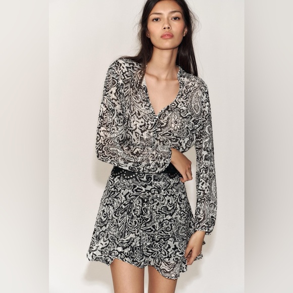 NWT ZARA Printed Swiss Dot Dress - Picture 1 of 4